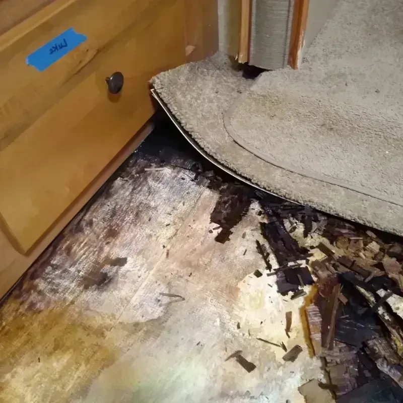 Wood Floor Water Damage in Pineridge, SC